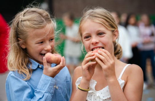 (vergroot foto)