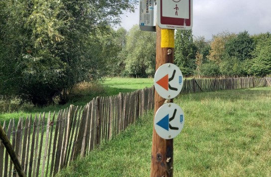  (vergroot foto)